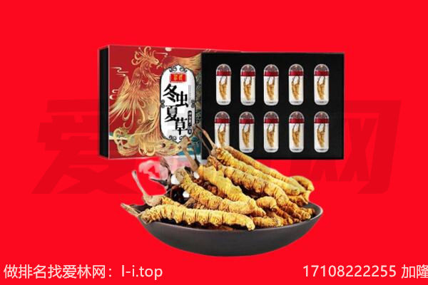 绵竹市回收虫草.jpg